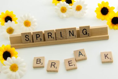 19 Aralık 2014: Houston, Tx, Amerika Birleşik Devletleri - Scrabble yazım S döşer.