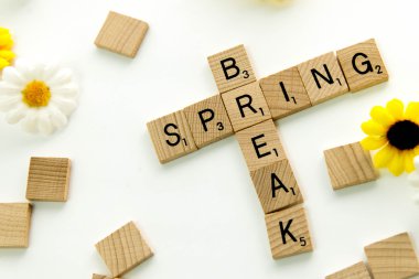 19 Aralık 2014: Houston, Tx, Amerika Birleşik Devletleri - Scrabble yazım S döşer.