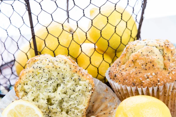 Νωπά ψημένα λεμόνι muffins poppyseed — Φωτογραφία Αρχείου