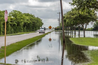30 Mayıs 2015 - Beverly Kaufman köpek Park, Katy, Tx: Ayakta floo