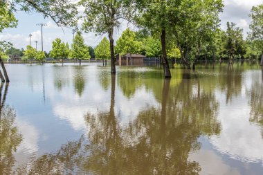 30 Mayıs 2015 - Addicks rezervuar Park, Houston, Tx: Ayakta flo