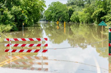 30 Mayıs 2015 - Addicks rezervuar Park, Houston, Tx: Ayakta flo