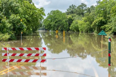 30 Mayıs 2015 - Addicks rezervuar Park, Houston, Tx: Ayakta flo