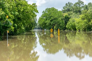 30 Mayıs 2015 - Addicks rezervuar Park, Houston, Tx: Ayakta flo