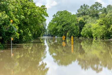 30 Mayıs 2015 - Addicks rezervuar Park, Houston, Tx: Ayakta flo