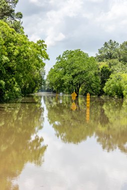 30 Mayıs 2015 - Addicks rezervuar Park, Houston, Tx: Ayakta flo