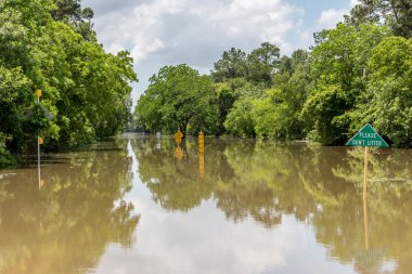 30 Mayıs 2015 - Addicks rezervuar Park, Houston, Tx: Ayakta flo