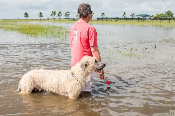 May 30, 2015 - Beverly Kaufman Dog Park, Katy, TX: man and dogs