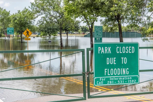 2015 年 5 月 30 日 - アディックス貯水池公園、ヒューストン, テキサス州: 立っている flo — ストック写真