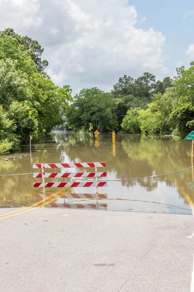 May 30, 2015 - Addicks Reservoir Park, Houston, TX: Standing flo — Stock Photo, Image