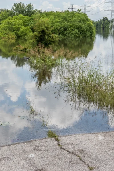 May 30, 2015 - Addicks Reservoir Park, Houston, TX: Standing flo — Stock Photo, Image