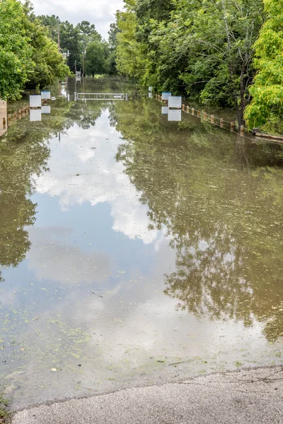 2015 年 5 月 30 日 - アディックス貯水池公園、ヒューストン, テキサス州: 立っている flo — ストック写真