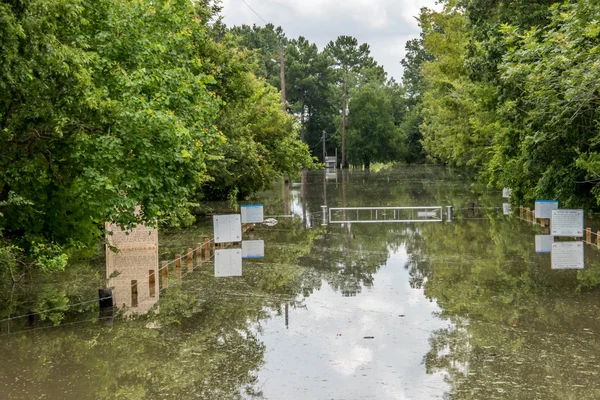 May 30, 2015 - Addicks Reservoir Park, Houston, TX: Standing flo — Stock Photo, Image