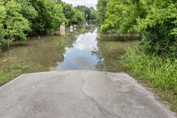 30. mai 2015 - addicks reservoir park, houston, tx: stehend flo Stockfoto