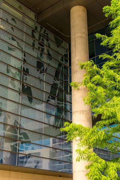 19 Ağustos 2015 - Dallas, Texas, ABD. Parkl için yeni ek