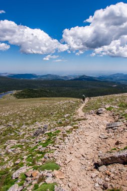 dağ manzara manzara timberline yukarıda mavi gökyüzü ile