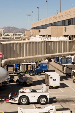 PHX Havaalanı. Uçak burun yatılı köprüsünde