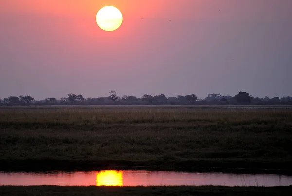 Красный Закат Лугах Национальном Парке Чобе Ботсване — стоковое фото