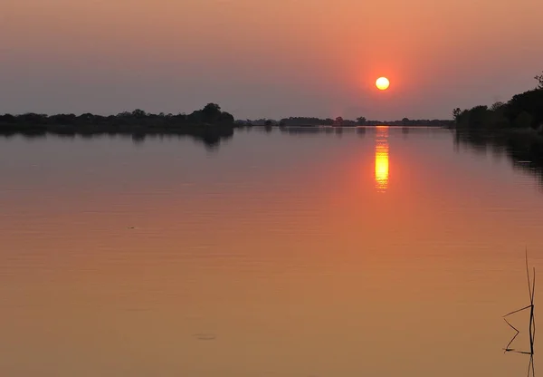 Золотой Закат Над Водами Реки Тамалакане Ботсване — стоковое фото