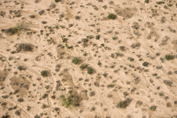 Aerial view of the semi-desert landscape of the Tankwa Karoo after a burst of rain