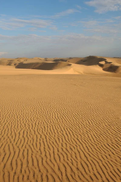 Empreinte Des Dieux Vue Dans Les Sables Désert Namibien — Photo