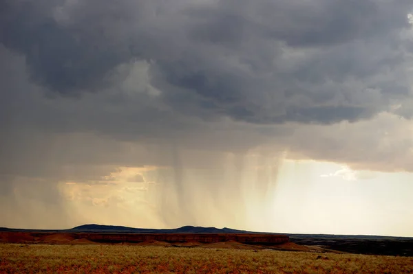 Una Tempesta Pioggia Nell Arido Parco Nazionale Naukluft Namibia — Foto Stock