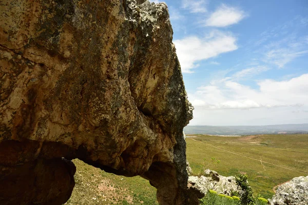 Huge Rock Shaped Elephant Green Flied Blue Sky Clouds — Φωτογραφία Αρχείου