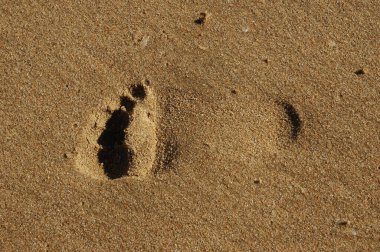 Islak ve temiz bir sahilde tek bir ayak izi.