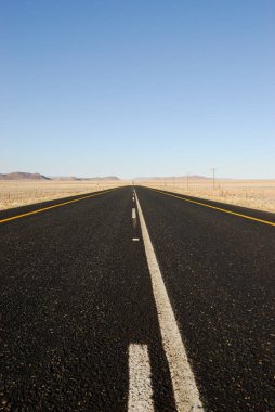 Kalahari yarı çölünün düzlüklerinde hiç bitmeyen bir yol.