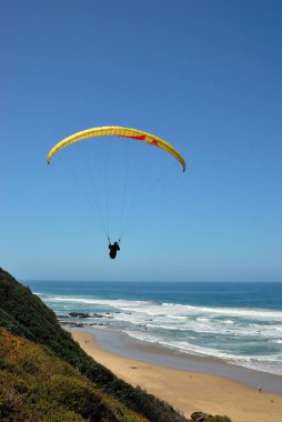 Sahilde deniz kuşu gibi gezinen bir paraglider.