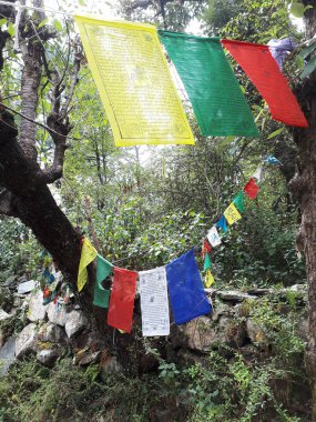 Dalai Lama Tapınağı 'nın etrafındaki Anma Yürüyüşü boyunca ağaçlarda bayraklar var.