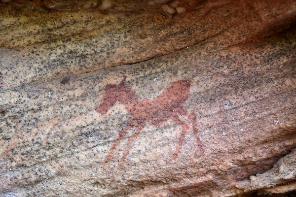 Cederberg, hikâyelerini anlatan antik San Rock resimleriyle dolu.
