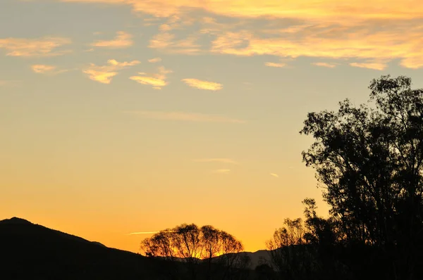 Pôr Sol Sobre Uma Encosta Com Gomas Azuis Langkloof — Fotografia de Stock