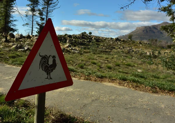 Warnschild Für Hühner Die Die Straße Überqueren Stockbild