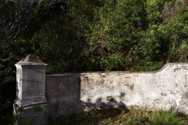 Perili bir evin girişi gibi görünen eski pis bir kapı.