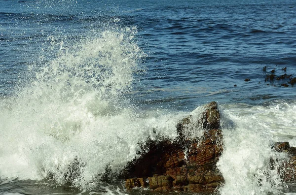 Волна Разбивающаяся Скалы Атлантическом Океане Возле Кейптауна — стоковое фото