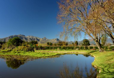 Arka planda Stellenbosch Dağları ile çevrili bir gölette yansıtılan yeşil çimen ve ağaçlar.