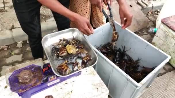 Pune India 2020 Crabs Sale Crabs Sold Street Sea Food — 비디오