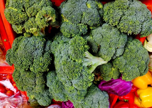 Broccoli is an edible green leafy plant in the cabbage family whose large flowering head, stalk and small associated leaves are eaten as a vegetable which is green in colour.