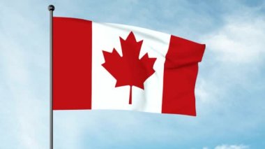 3D Illustration Kanada Ulusal Bayrağı, Kanada bayrağı, Maple Leaf veya l 'Unifoli, merkezinde 1: 2: 1 oranında beyaz bir kare bulunan kırmızı bir alandan oluşur.,