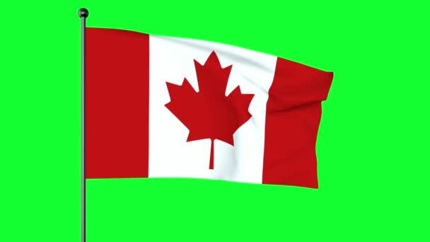 Groen Scherm Illustratie Nationale Vlag Van Canada Canadese Vlag Het — Stockvideo