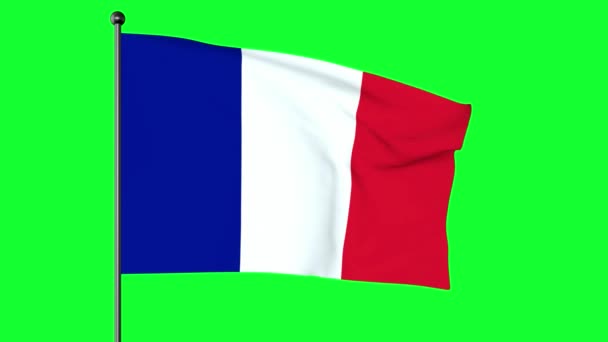 Pantalla Verde Ilustración Bandera Francia Una Bandera Tricolor Con Tres — Vídeos de Stock