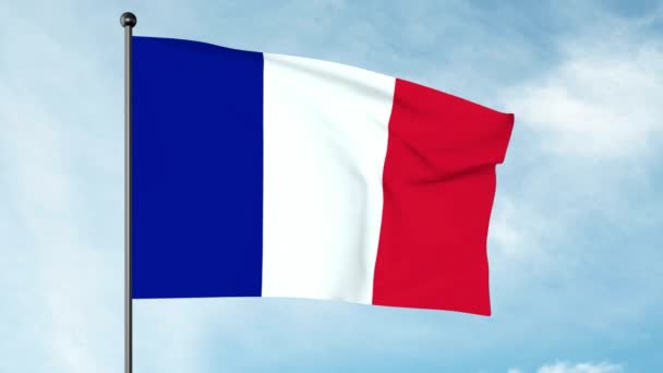 法国国旗的3D图解是三色旗 有三个垂直带 白色和红色 法国三色旗或简称三色旗 — 图库视频影像