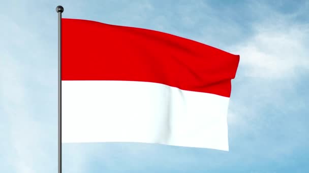 Ilustración Bandera Indonesia Bicolor Simple Con Dos Bandas Horizontales Iguales — Vídeos de Stock
