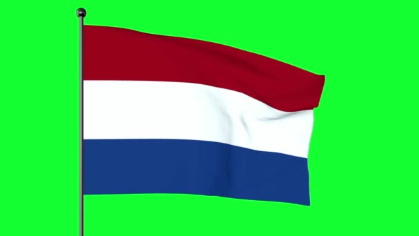 Groen Scherm Illustratie Van Vlag Van Nederland Een Horizontale Driekleur — Stockvideo