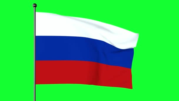 Green Screen Illustration Flag Russian Federation Tricolour Flag Consisting Three — Stock Video