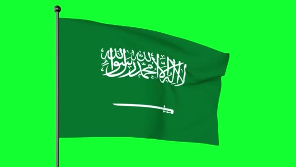 Grön Skärm Illustration Konungariket Saudiarabiens Flagga Grön Flagga Med Vit — Stockvideo