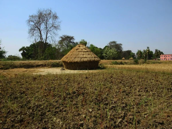 Vytěžená Zemědělská Půda Severní Části Indie — Stock fotografie