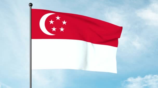 Drapeau National Singapour Drapeau Singapourien Bicolore Horizontal Rouge Dessus Blanc — Video