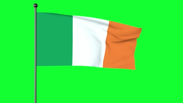 Zielony Ekran Ilustracja Flagi Narodowej Irlandii Trójkolorowy Irlandzki Flaga Narodowa — Wideo stockowe